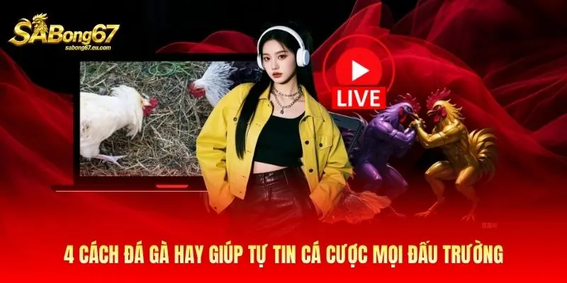 4 Cách Đá Gà Hay Giúp Tự Tin Cá Cược Mọi Đấu Trường