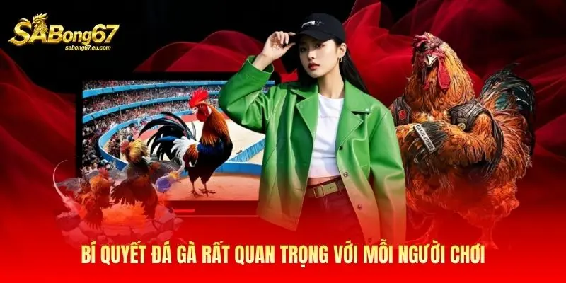 Bí quyết đá gà rất quan trọng với mỗi người chơi