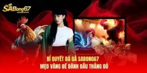 Bí Quyết Đá Gà Sabong67 - Mẹo Vàng Để “Đánh Đâu Thắng Đó”