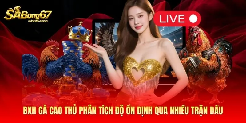 BXH gà cao thủ phân tích độ ổn định qua nhiều trận đấu