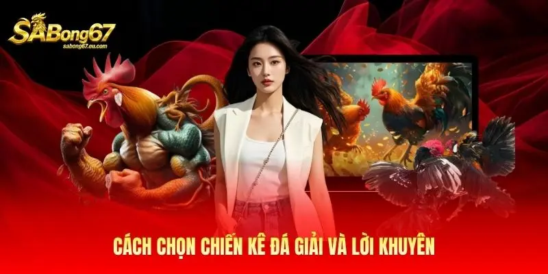 Cách chọn chiến kê đá giải và lời khuyên