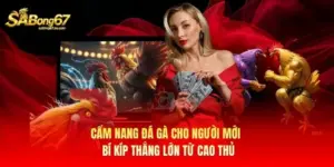 Cẩm Nang Đá Gà Cho Người Mới - Bí Kíp Thắng Lớn Từ Cao Thủ