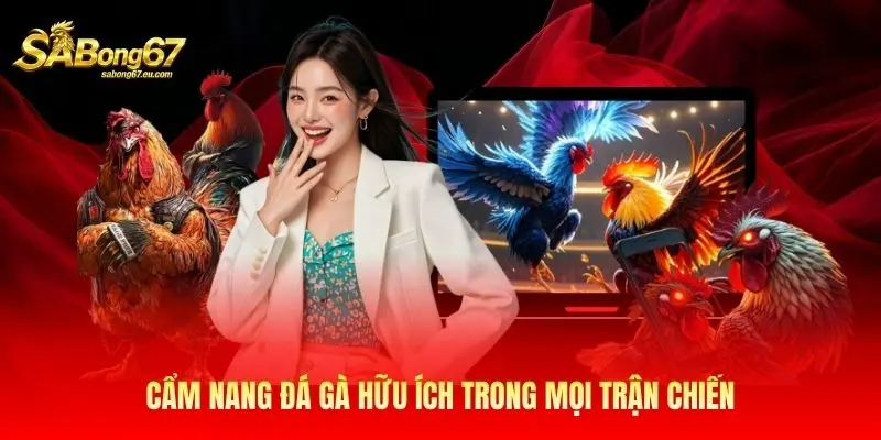 Cẩm nang đá gà hữu ích trong mọi trận chiến Cẩm nang đá gà hữu ích trong mọi trận chiến