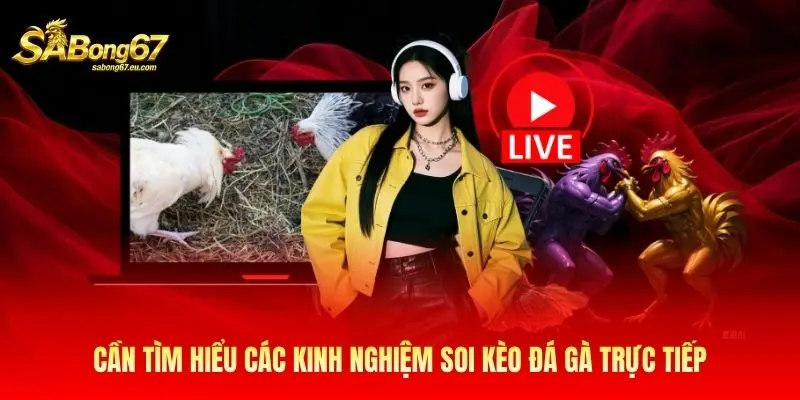Cần tìm hiểu các kinh nghiệm soi kèo đá gà trực tiếp