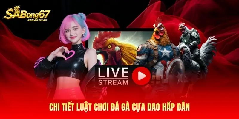 Chi tiết luật chơi đá gà cựa dao hấp dẫn