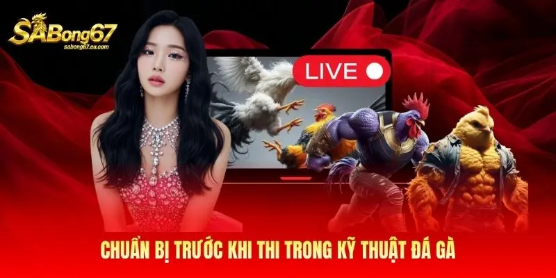 Chuẩn bị trước khi thi trong kỹ thuật đá gà Chuẩn bị trước khi thi trong kỹ thuật đá gà