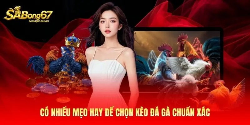 Có nhiều mẹo hay để chọn kèo đá gà chuẩn xác