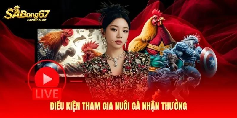 Điều kiện tham gia nuôi gà nhận thưởng