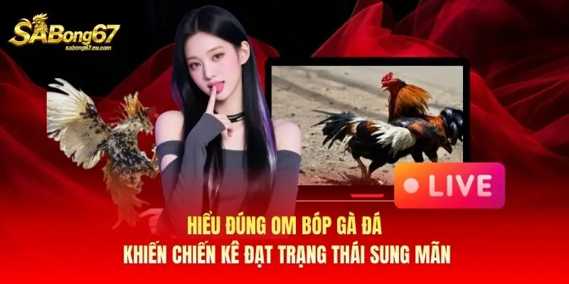 Hiểu đúng om bóp gà đá khiến chiến kê đạt trạng thái sung mãn Hiểu đúng om bóp gà đá khiến chiến kê đạt trạng thái sung mãn