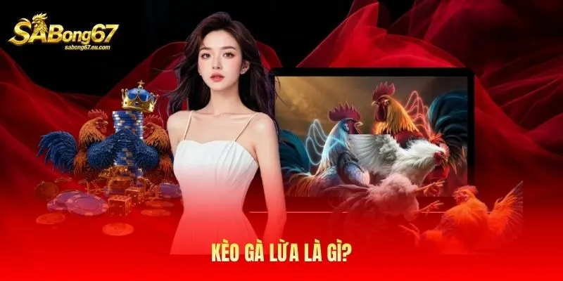 Kèo gà lừa là gì?