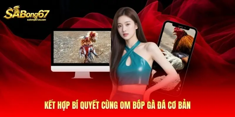 Kết hợp bí quyết cùng om bóp gà đá cơ bản Kết hợp bí quyết cùng om bóp gà đá cơ bản
