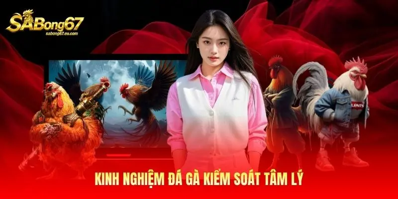 Kinh nghiệm đá gà kiểm soát tâm lý Kinh nghiệm đá gà kiểm soát tâm lý