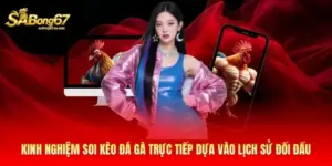 Kinh nghiệm soi kèo đá gà trực tiếp dựa vào lịch sử đối đầu