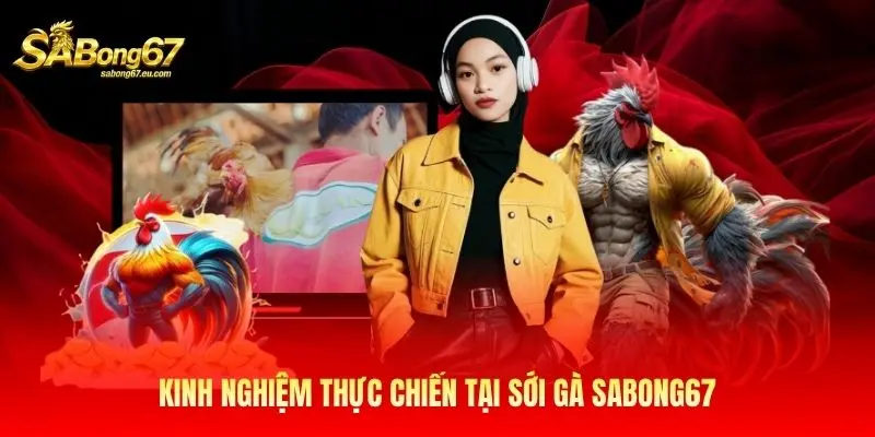 Kinh nghiệm thực chiến tại sới gà Sabong67 Kinh nghiệm thực chiến tại sới gà Sabong67