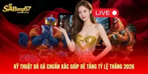 Kỹ Thuật Đá Gà Chuẩn Xác Giúp Dễ Tăng Tỷ Lệ Thắng 2026