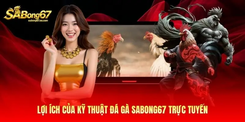 Lợi ích của kỹ thuật đá gà Sabong67 trực tuyến Lợi ích của kỹ thuật đá gà Sabong67 trực tuyến