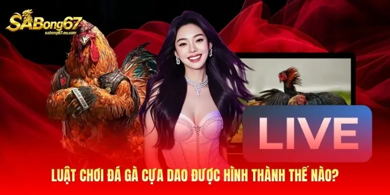 Luật chơi đá gà cựa dao được hình thành thế nào?