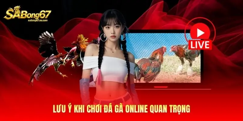 Lưu ý khi chơi đá gà online quan trọng Lưu ý khi chơi đá gà online quan trọng