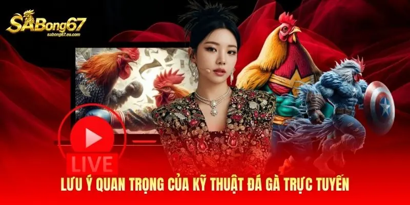 Lưu ý quan trọng của kỹ thuật đá gà trực tuyến Lưu ý quan trọng của kỹ thuật đá gà trực tuyến