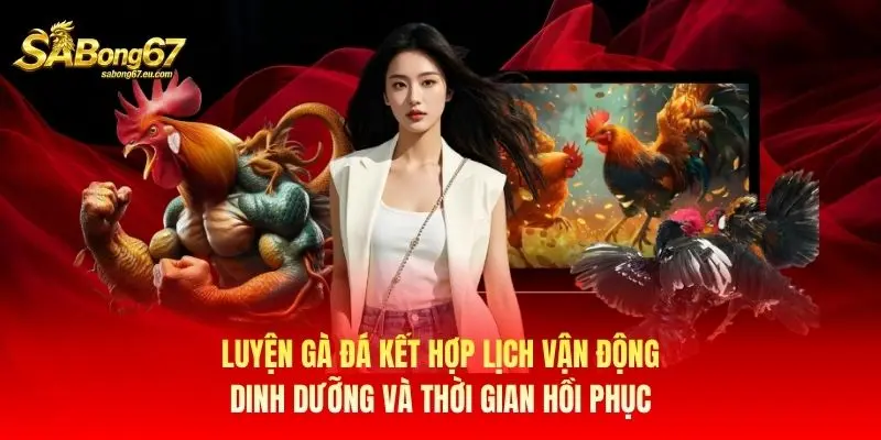Luyện gà đá kết hợp lịch vận động, dinh dưỡng và thời gian hồi phục Luyện gà đá kết hợp lịch vận động, dinh dưỡng và thời gian hồi phục
