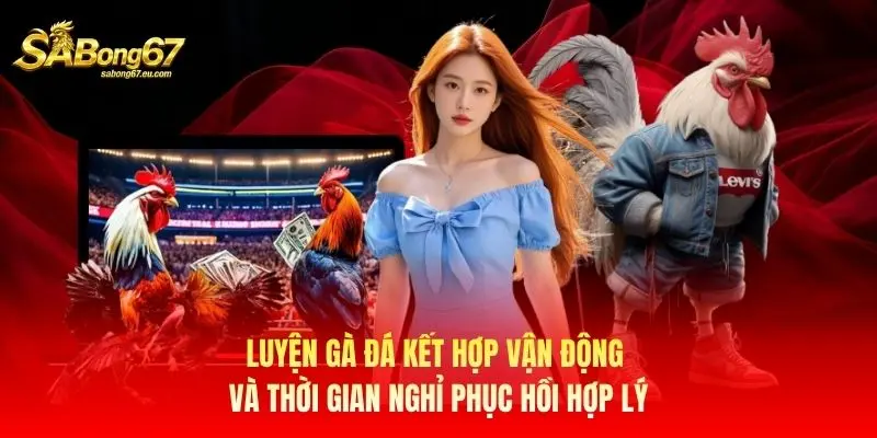 Luyện gà đá kết hợp vận động và thời gian nghỉ phục hồi hợp lý Luyện gà đá kết hợp vận động và thời gian nghỉ phục hồi hợp lý