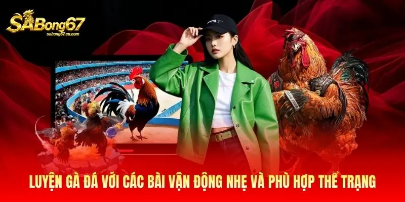 Luyện gà đá với các bài vận động nhẹ và phù hợp thể trạng Luyện gà đá với các bài vận động nhẹ và phù hợp thể trạng