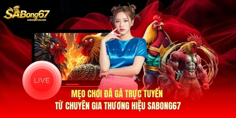 Mẹo Chơi Đá Gà Trực Tuyến Từ Chuyên Gia Thương Hiệu Sabong67