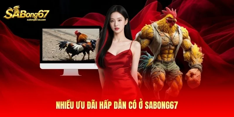 Nhiều ưu đãi hấp dẫn đang chờ bạn