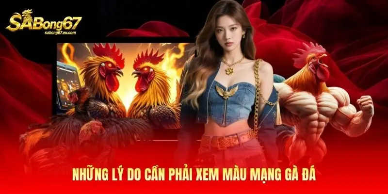 Những lý do cần phải xem màu mạng gà đá Những lý do cần phải xem màu mạng gà đá