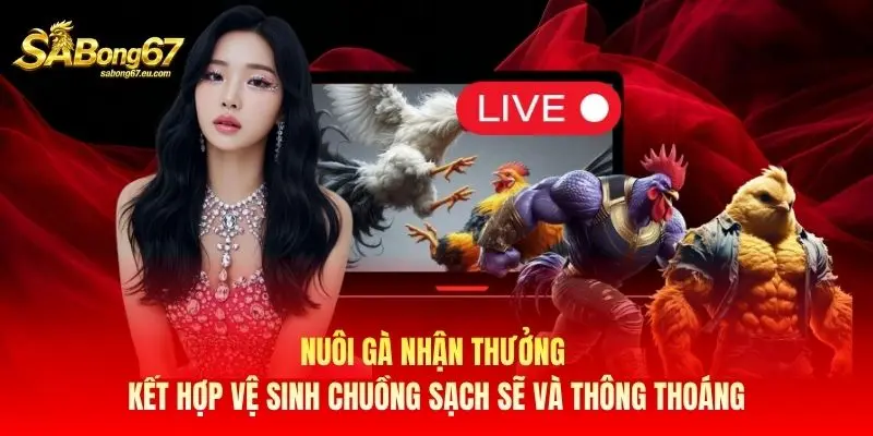 Nuôi gà nhận thưởng kết hợp vệ sinh chuồng sạch sẽ và thông thoáng