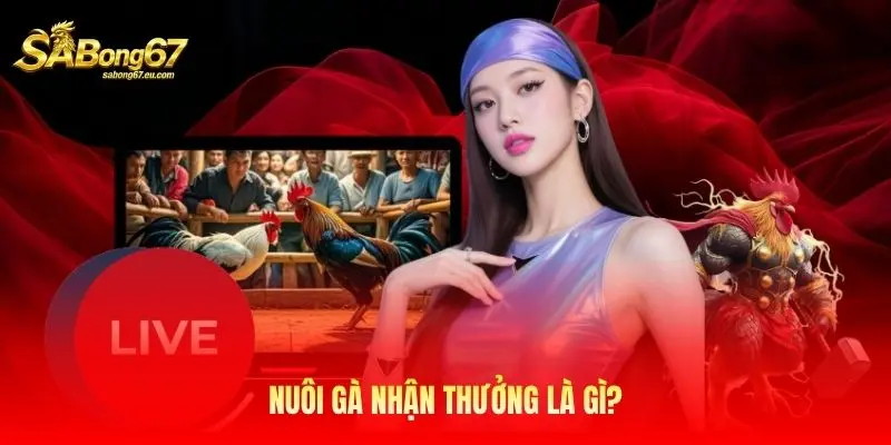 Nuôi gà nhận thưởng là gì?