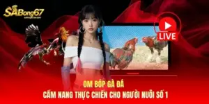 Om Bóp Gà Đá - Cẩm Nang Thực Chiến Cho Người Nuôi Số 1