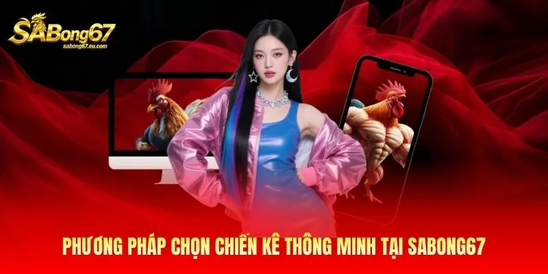 Phương pháp chọn chiến kê thông minh tại Sabong67 Phương pháp chọn chiến kê thông minh tại Sabong67