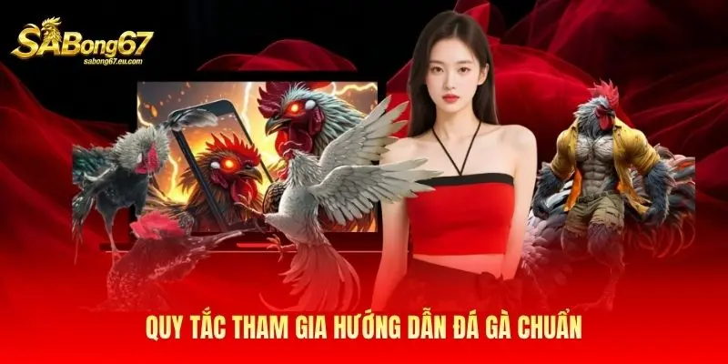 Quy tắc tham gia hướng dẫn đá gà chuẩn Quy tắc tham gia hướng dẫn đá gà chuẩn