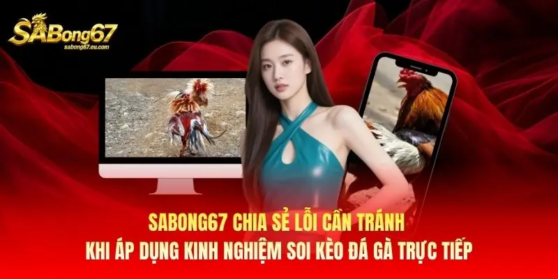 Sabong67 chia sẻ lỗi cần tránh khi áp dụng kinh nghiệm soi kèo đá gà trực tiếp