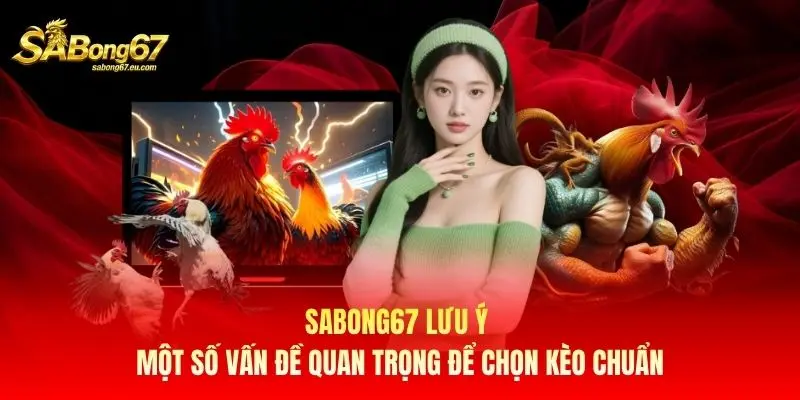 Sabong67 lưu ý một số vấn đề quan trọng để chọn kèo chuẩn