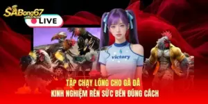 Tập Chạy Lồng Cho Gà Đá – Kinh Nghiệm Rèn Sức Bền Đúng Cách