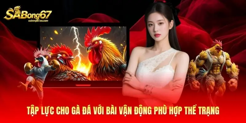 Tập lực cho gà đá với bài vận động phù hợp thể trạng Tập lực cho gà đá với bài vận động phù hợp thể trạng