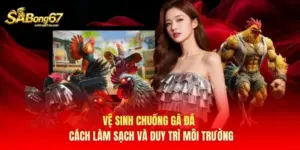 Vệ Sinh Chuồng Gà Đá – Cách Làm Sạch Và Duy Trì Môi Trường