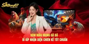 Xem Màu Mạng Gà Đá - Bí Kíp Nhận Diện Chiến Kê Tốt Chuẩn